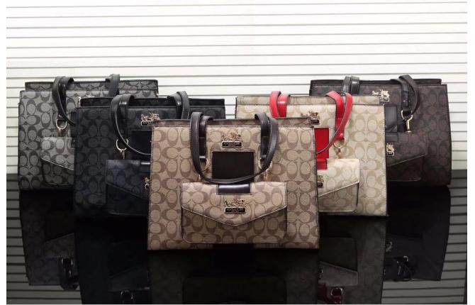 TB119 Coach Tote Handbag