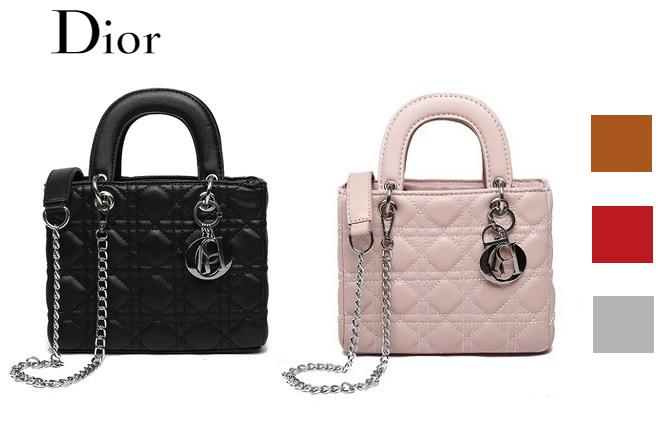DR0010 DIOR Sling Bag HOT